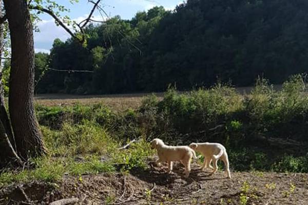Tour Al Tartufo