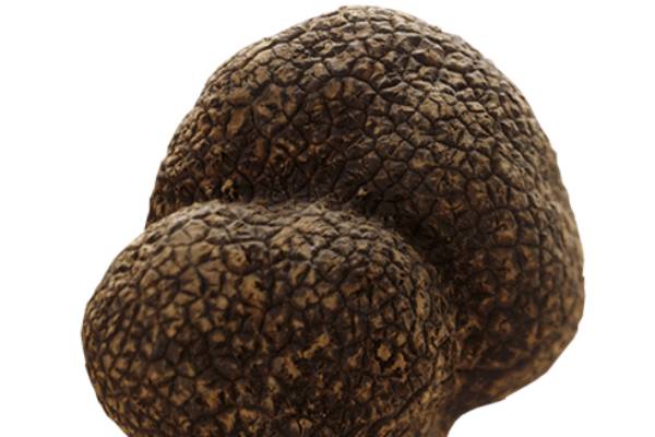 Vendita Al Dettaglio Del Tartufo